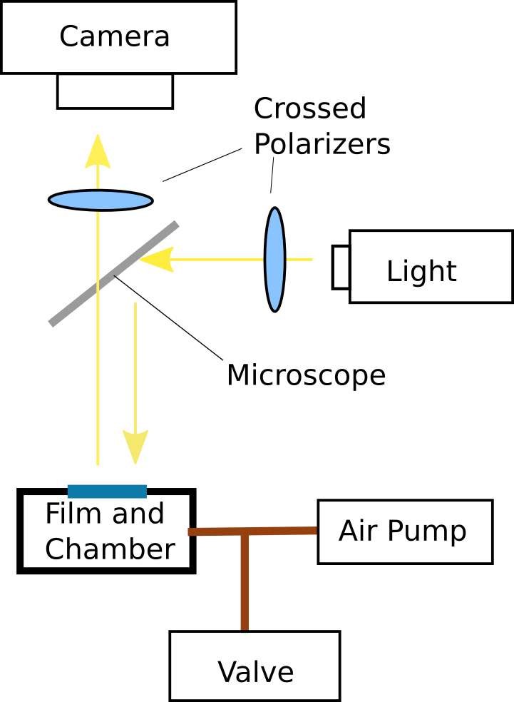 Experimental Setup